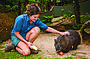 Kuranda Koala Gardens - Entry 